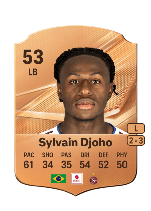 Sylvain Djoho