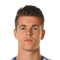 Marco van Ginkel
