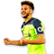 Adam Lallana