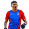 Patrick van Aanholt