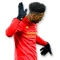 Daniel Sturridge
