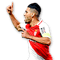 Falcao