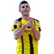 Christian Pulisic