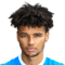 Lee Angol
