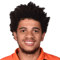Taison