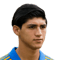 Alan Pulido