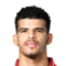 Dominic Solanke
