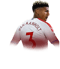 Patrick van Aanholt