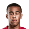 Tyler Adams