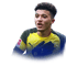 Jadon Sancho