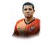 Taison