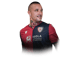 Radja Nainggolan