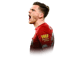 Andrew Robertson