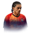 Taison