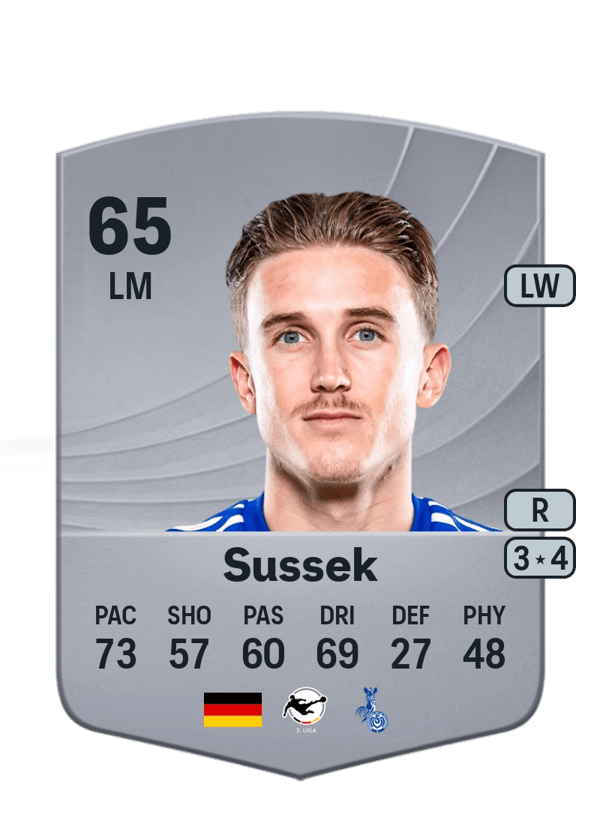 Patrick Sussek 65 EA FC