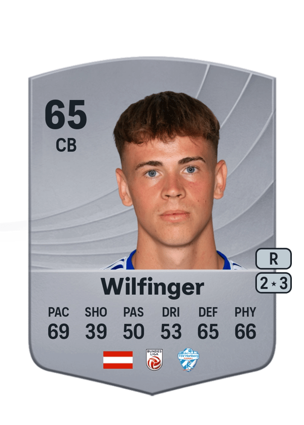 Fabian Wilfinger 65 EA FC
