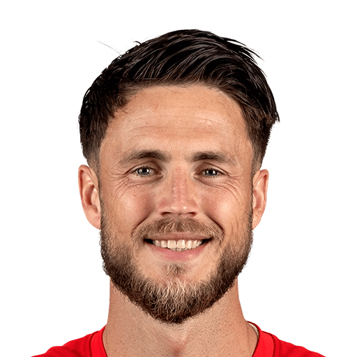 van Wolfswinkel