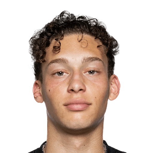 Gonçalves Andersson