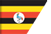 Nation
