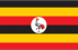 Nation