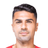 Çelik