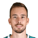 Bradarić