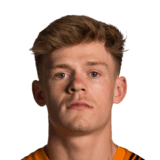 Lewis-Potter