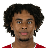 Zirkzee