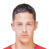 Bradarić