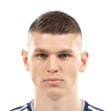 Veselinović