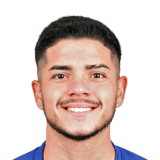 Sabella