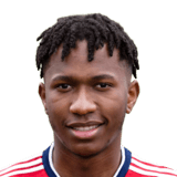 Ngwenya
