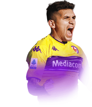 Torreira