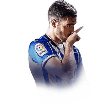 Merino