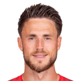 van Wolfswinkel