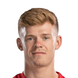 Lewis-Potter