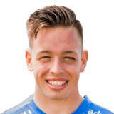 Schelfhout