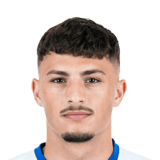 Dzogovic