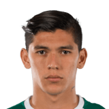 Arteaga