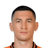 Stepanenko