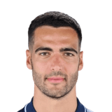 Merino