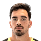 Gazzaniga
