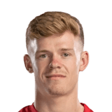 Lewis-Potter