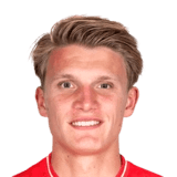 Steijn