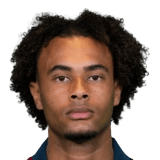 Zirkzee