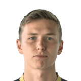Bjarkason