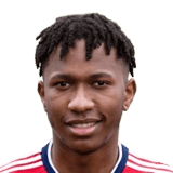Ngwenya