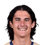 Goodwin