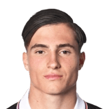 Vogel