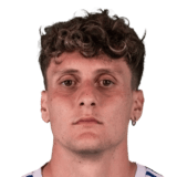 Piccinini
